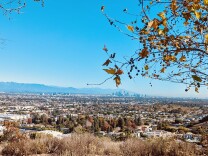 View of Culver City and Los Angeles on a clear day from an overlook south of downtown. Homes and trees, some with fall foliage, are in forefront with downtown skyline in distance