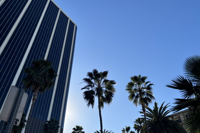 A glass front high rise has a row of palm trees out front.