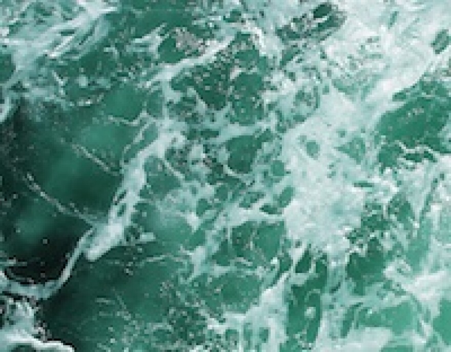 orange-county-ocean-green-slime-froth.jpg