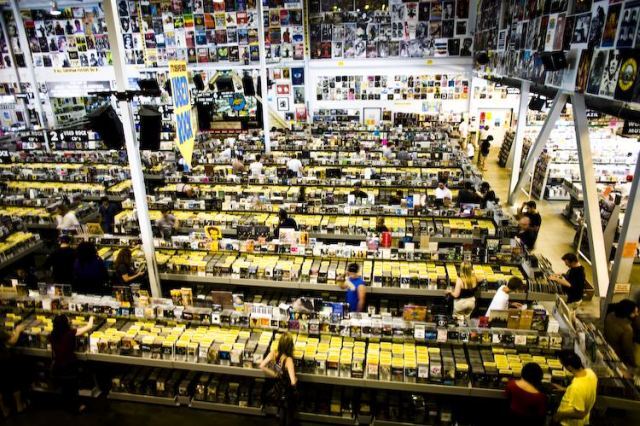 AMoeba.jpg