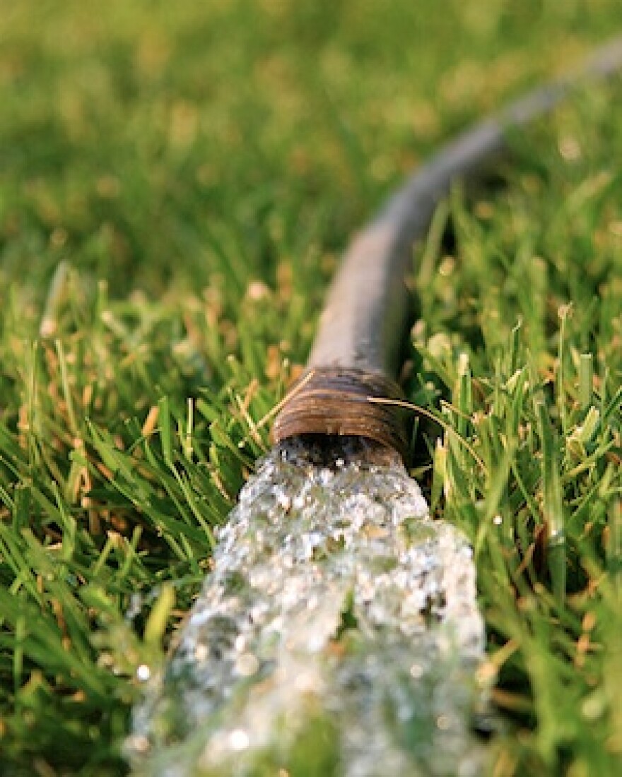 hose-water-lawn.jpg