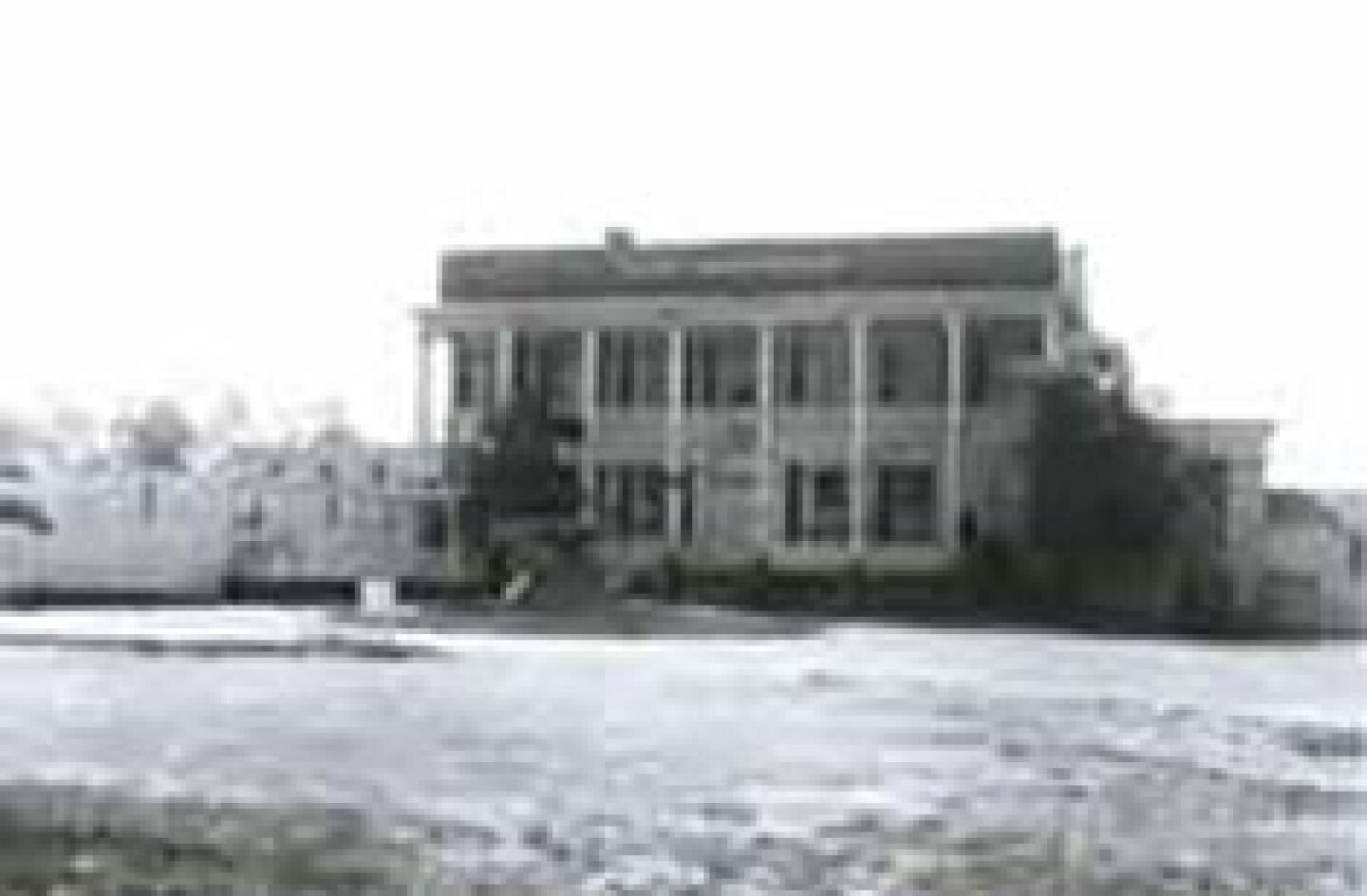 Fatty's-plantation.jpg