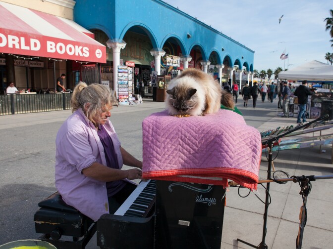 Venice Boardwalk musician, Nathan Pino and his cat Baby Girl.