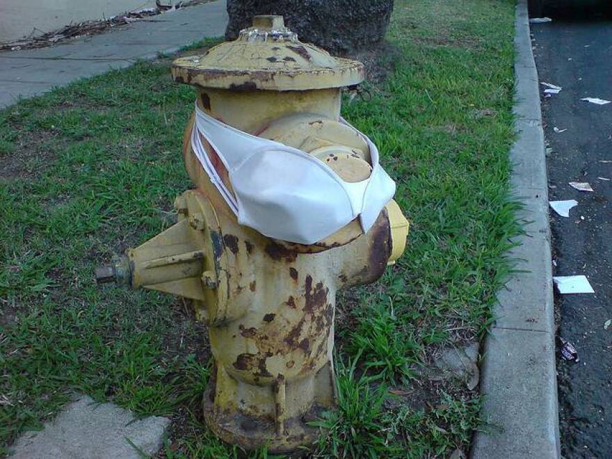 bra-fire-hydrant.jpg