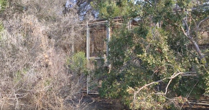 Sentry dog kennel (LA-55)