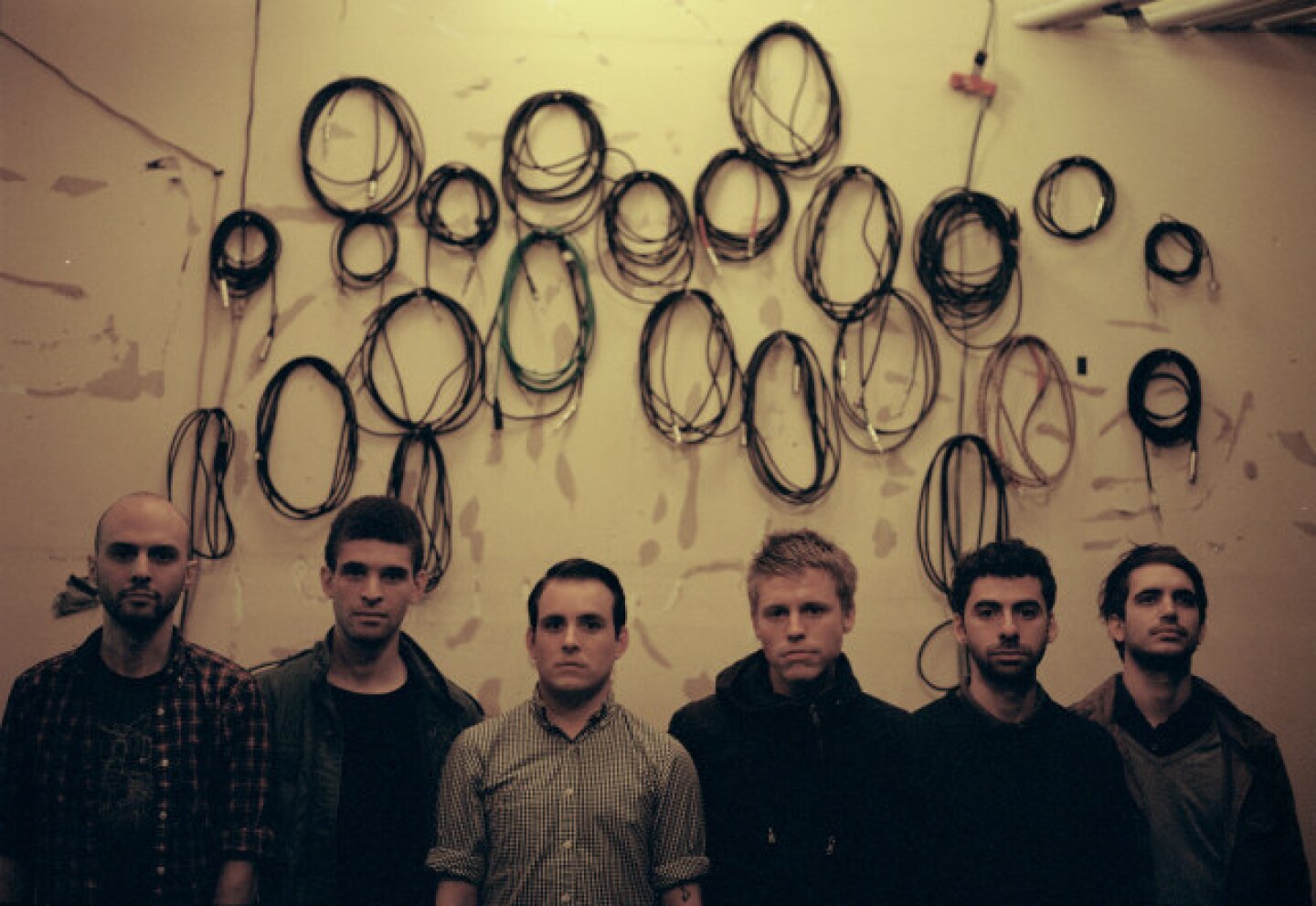 white rabbits.jpg