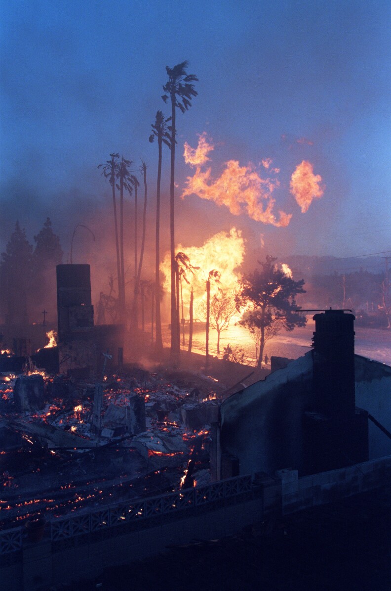 Flames ignite a palm tree and seem to float in the air.