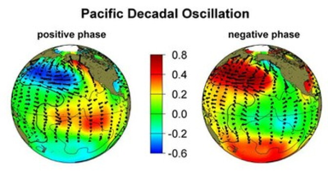 An image showing the positive / warm phase of a PDO and the negative / cold phase. The terms warm and cold refer to the temperature of water off the west coast of America.