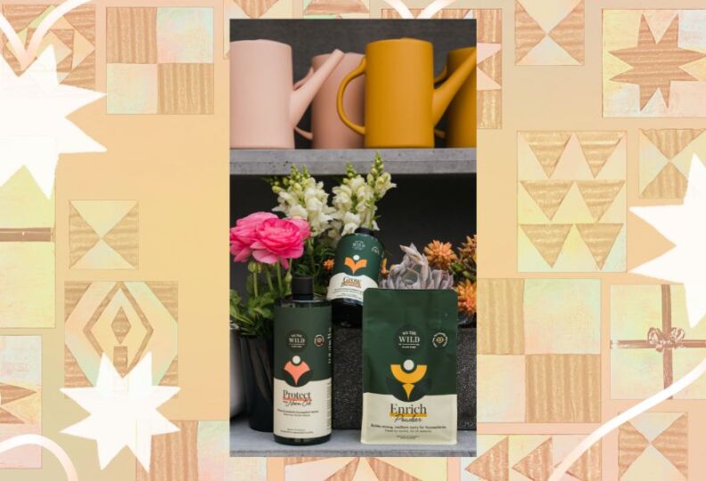 Image of a range of plant products, including those that fertilize the soil. Products are placed in a potting station, surrounded by fresh plants and planters. The image is set against a textured dark gray background decorated with stars, gift boxes and ribbons of ribbon.