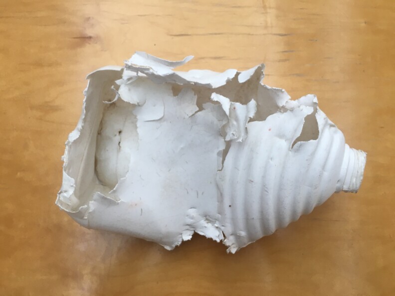 An "artifact" from Eriksen's expedition. What appears to be a bleach bottle has been chewed on by fishes and turtles in the Pacific Ocean. 