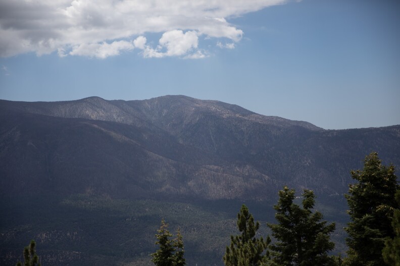Shrubs cover a mountainside seen in the distance