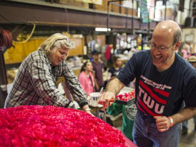 Jacque Page, left, of Memphis, Tenn. and Ben Gordon of Saratoga Springs, N.Y. glue carnations onto a flamingo at Sierra Madre Rose Float Association's barn on Tuesday morning, Dec. 29, 2015. "It's like a  big family," Page says. This is her fifth year volunteering.