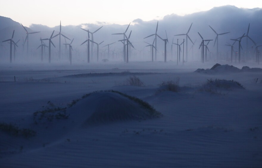Dozens of tall three-blade windmills turn in the desert