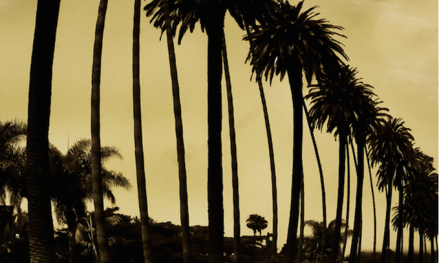 palmtreeslanew.png