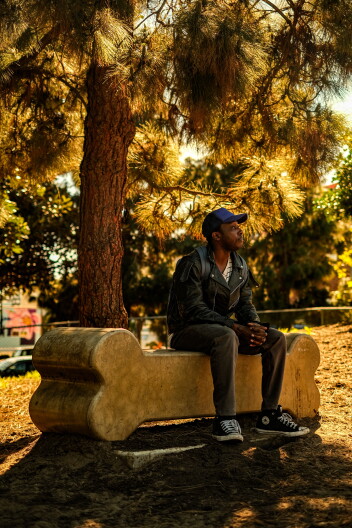 A man sits on a park bench shaped like a dog bone. He is sitting under a tree and looking off into the distance.