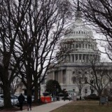 The U.S. Capitol is seen through bare trees on January 7, 2011 in Washington, DC.
