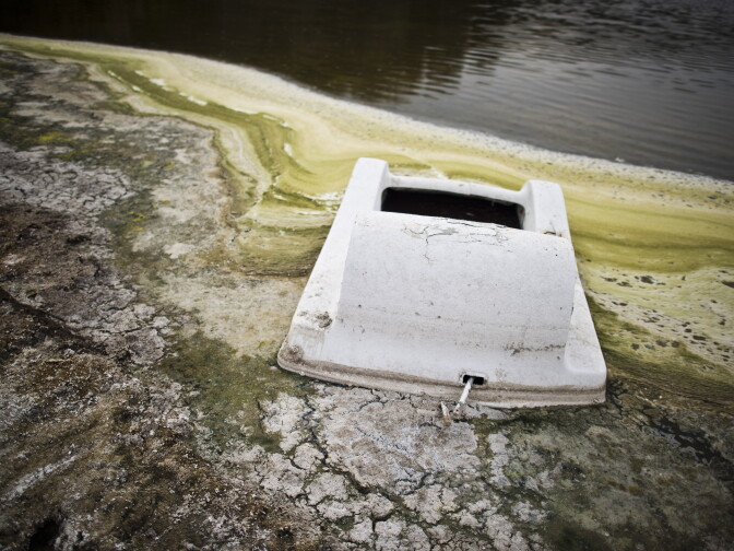 A sunken boat lies in the mud near the receding water line of Lake Hughes north of Santa Clarita. In 2013 the Powerhouse Fire burned through the area, leaving trees around the lake blackened. 

Fire burn area recovery, California drought, and Poppy bloom in Los Angeles County, CA Tuesday March 18, 2015. Wildfire recovery from the Powerhouse Fire in 2013, Poppies at California Poppy Reserve. 