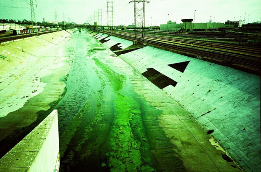 MTA-tag-lariver.jpg