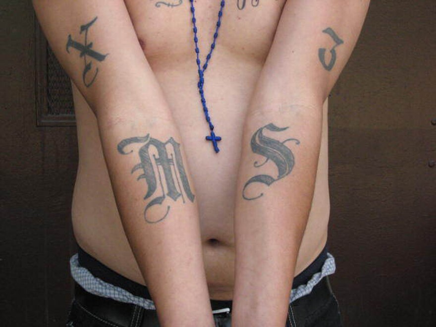 This handout photo provided by US Immigration and Customs Enforcement, taken June 23, 2008 in Washington, shows an example of a tattoo of the gang Mara Salvatrucha (MS-13). The Obama administration has labeled a violent Central American street gang as an international criminal organization subject to U.S. government sanctions, the first time this designation has been given to such a group.  (AP Photo/Michael Johnson, ICE)