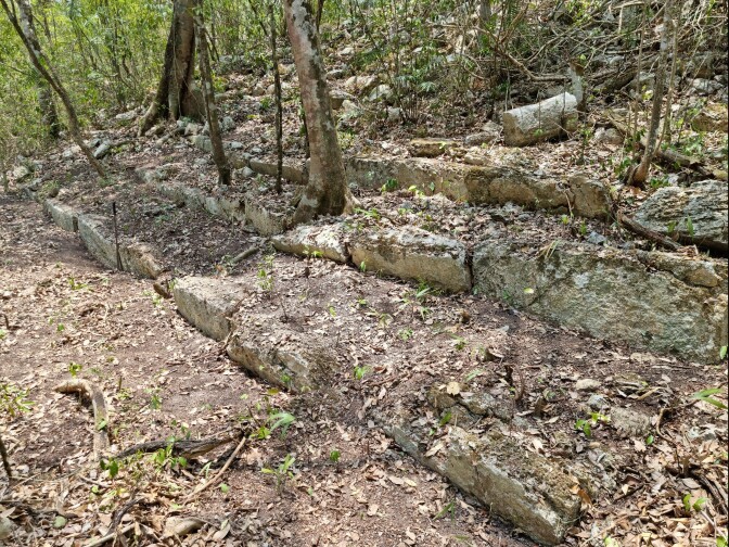 The remains of a staircase still visible in the heart of Campeche's jungles, one of the vestiges of Ocomtun.