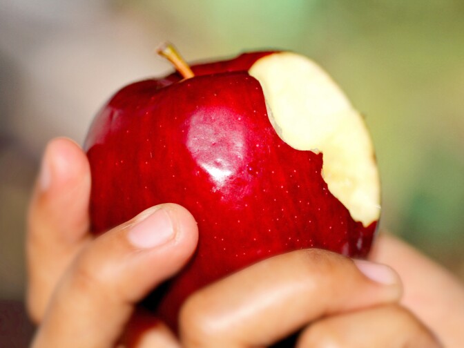 A close up image of a hand holding an apple, with several bites already taken out of it. 