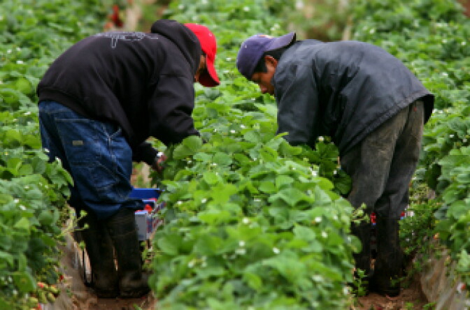 The federal assistance program was designed in the 1960's and has helped farm-workers move into homes.