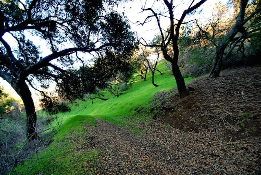 griffithparktrail.jpg