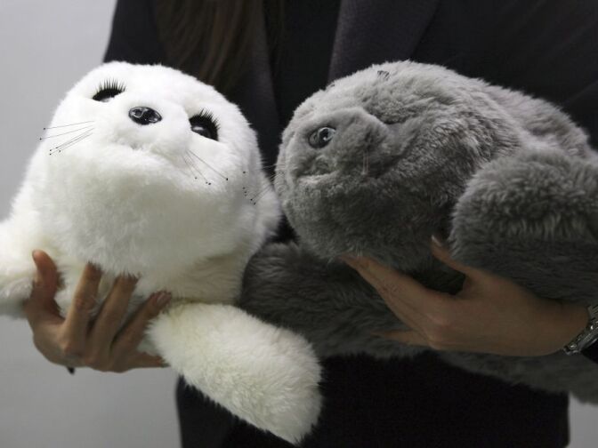 Pato twins at the Japanese Robotics Awards in 2006.