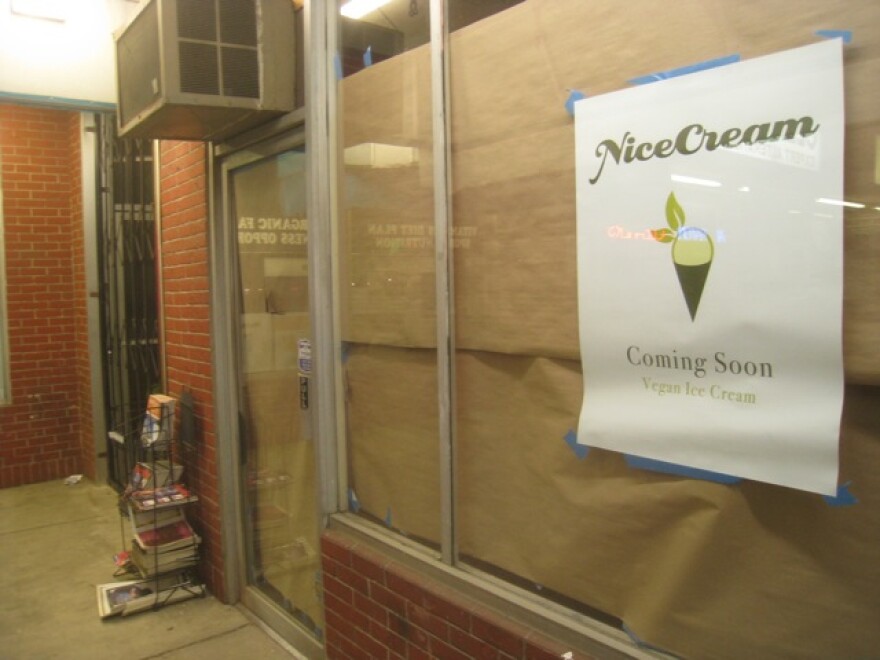 nice_cream_vegan_ice_cream.JPG
