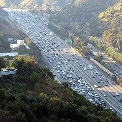 5b2c5ca64488b300092813d5-original.jpg