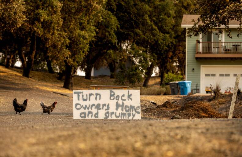 Chickens walk near a handmade sign reading: Turn Back Owners Home and Grumpy