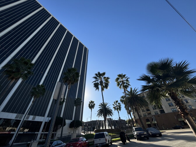A glass front high rise has a row of palm trees out front and a fountain.