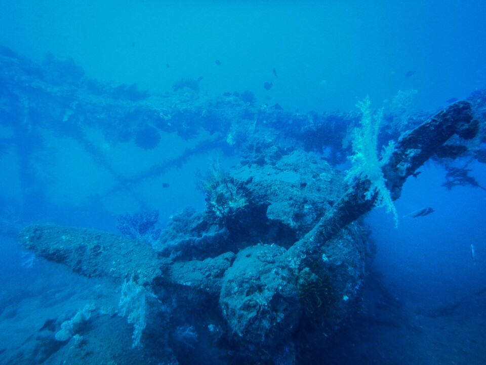 A Mitsubishi F1M outfitted for water landings was used by Japanese forces. Theories about what happened to this biplane vary. Some experts claim that it ran out of fuel and the crew swam to shore. Lloyd Woo's research suggests it was hit by Allied bombs and sank where it was moored.