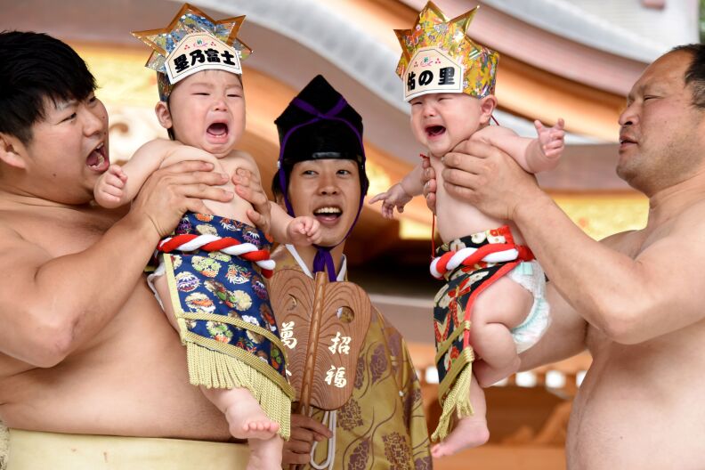 Sumo wresters hold up crying babies in front of a referee clad in a traditional costume during a "Baby-cry Sumo" event at the Kamegaike-Hachiman Shrine in Sagamihara, Kanagawa prefecture, on May 14, 2017.