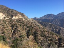 The Angeles National Forest in the San Gabriel Mountains is recovering five years after the Station Fire burned a quarter of the forest.