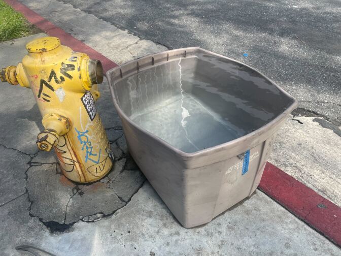A gray bin full of standing water next to a fire hydrant on the curb.