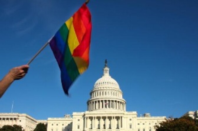 A demonstrator waves a rainbow flag in front of the US Capitol in Washington D.C.
