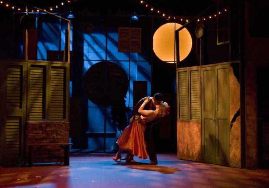 ANW 08 Shrew1.jpg