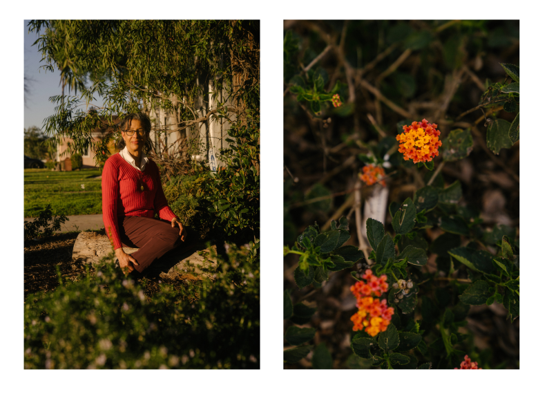 A diptych of two vertical photos. On the left a woman with light brow skin tone wearing a salmon-colored sweater with a white collared shirt underneath, brown pants, and glasses stands in her front yard full of drought resistant plants like rosemary. On the left a close up of a flower with outer rings of tiny dark orange flowers that turn yellow in the center. The flower is surrounded by dark green leaves.