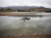 Submerged trees provide habitats for the wildlife in the Malibu Lagoon. The lagoon was once covered in baseball fields and the California State Parks bought back the land in 1983.