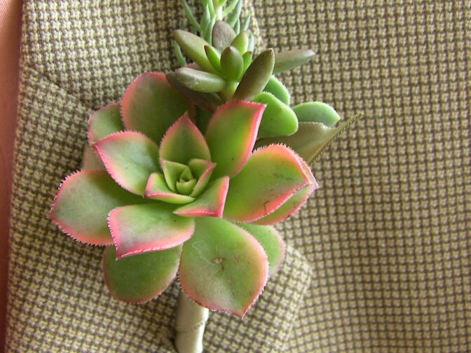 A boutonniere from Succulently Urban, the San Diego-based business created by Marialuisa Kaprielian.