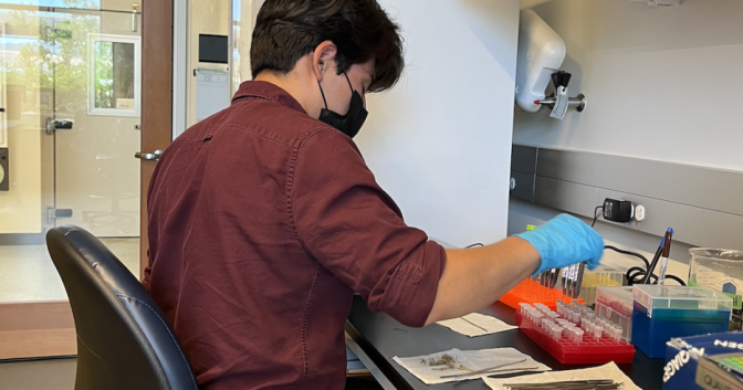 A person in a black face mask and blue gloves works with vials on a desk.