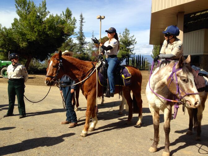 Deputies from the L.A. County Sheriff's Department equestrian unit during a training exercise.