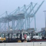 Few striking workers walking the picket lines, but plenty of idle trucks at the APM Terminals at the Port of Los Angeles.