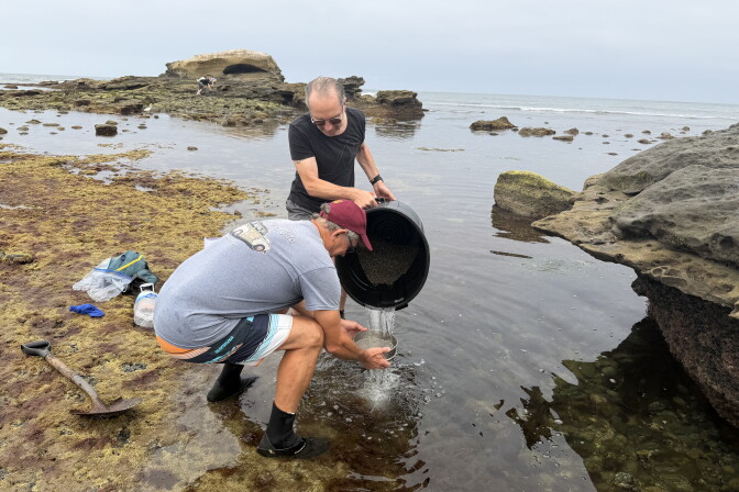 Marine biologist Greg Rouse and chemist Steve Taylor collect samples of seawater and sand from the tide pools near La Jolla's Bird Rock on Friday, July 17, 2026. The samples, or similar ones, will be part of a comprehensive biological library of California's tidal regions housed at the Los Angeles County Museum of Natural History.