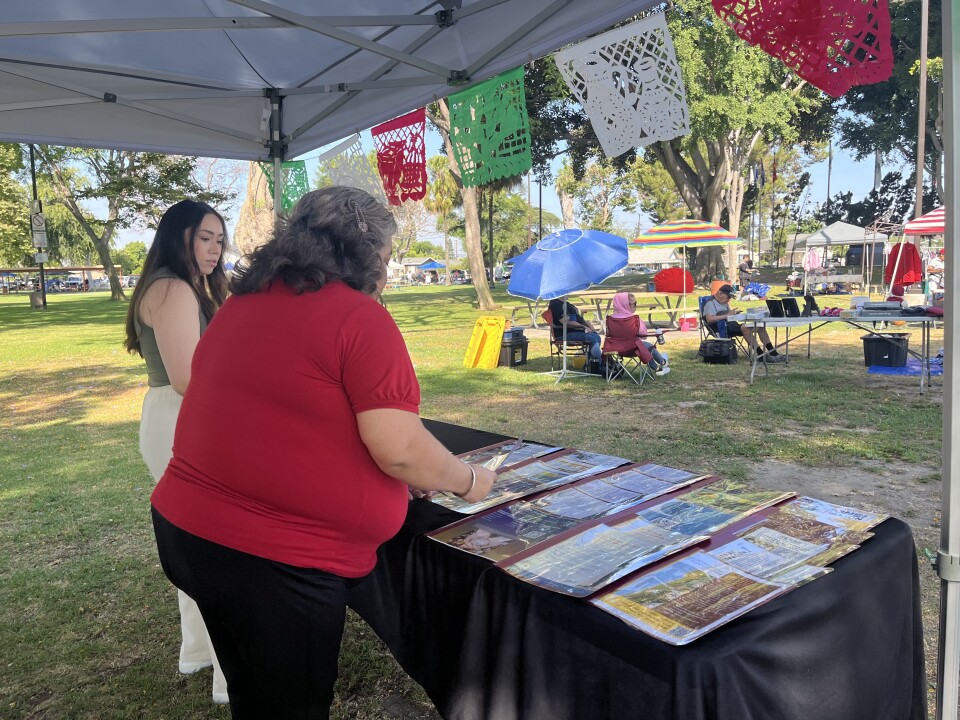 Two women organize stacks of fliers and pamphlets at an information booth on a sunny day. They're at a park in Los Angeles where residents set up lawn chairs and umbrellas.