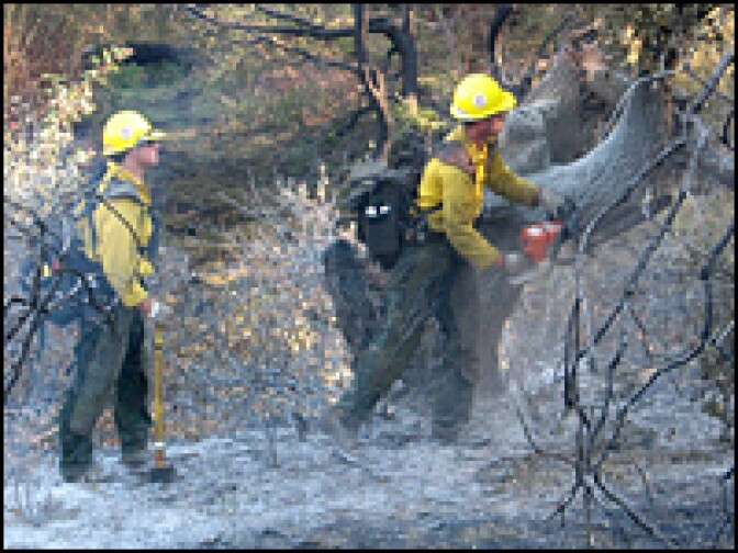Mac Sparks, of the Fulton Hot Shots from Glennville, Calif., uses a chain saw to separate burning wood so the rest of the tree won't catch fire.