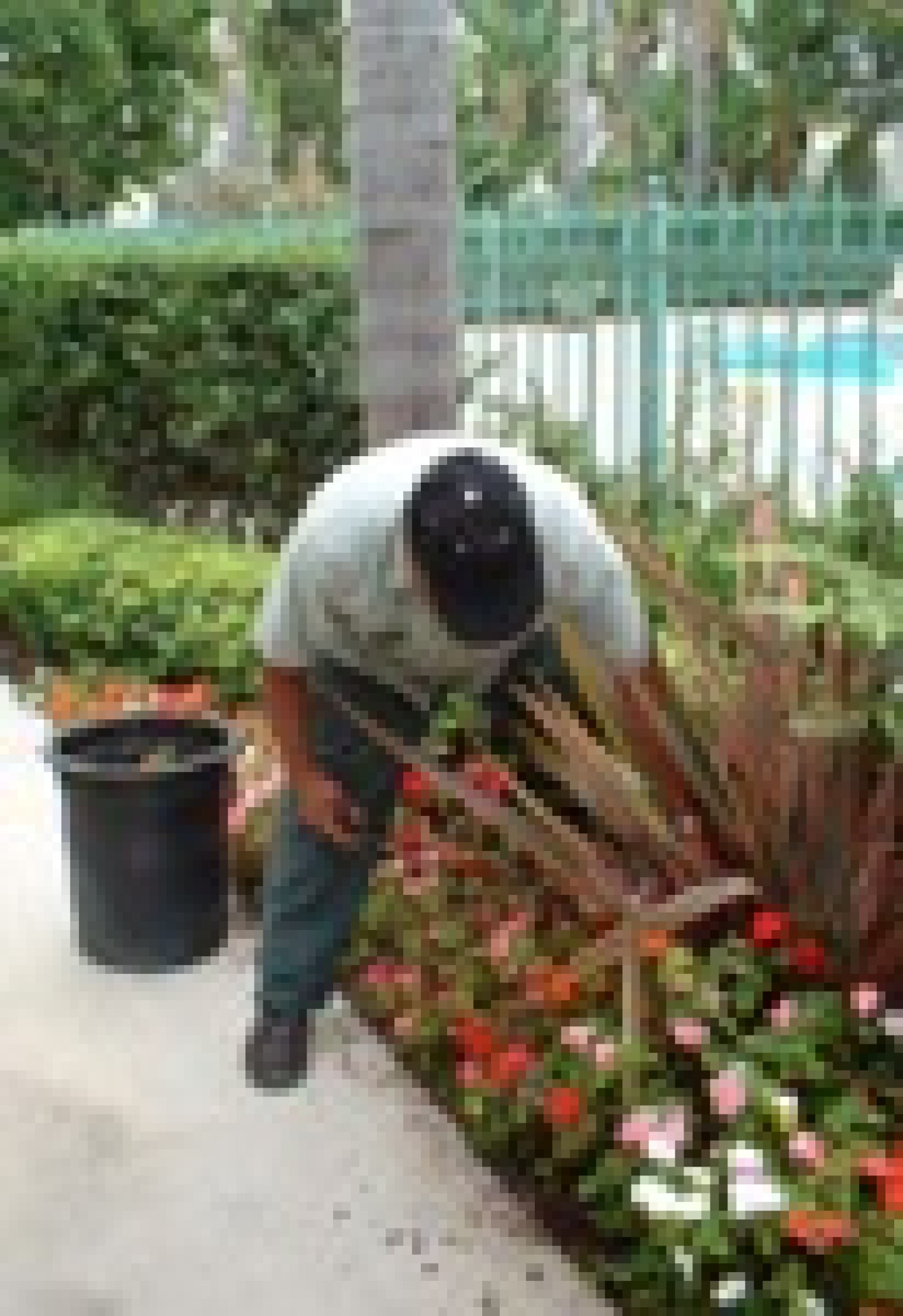 Landscaper.jpg