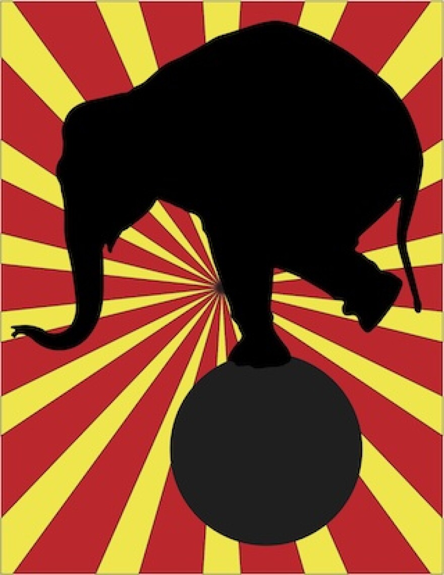 elephant-circus.jpg