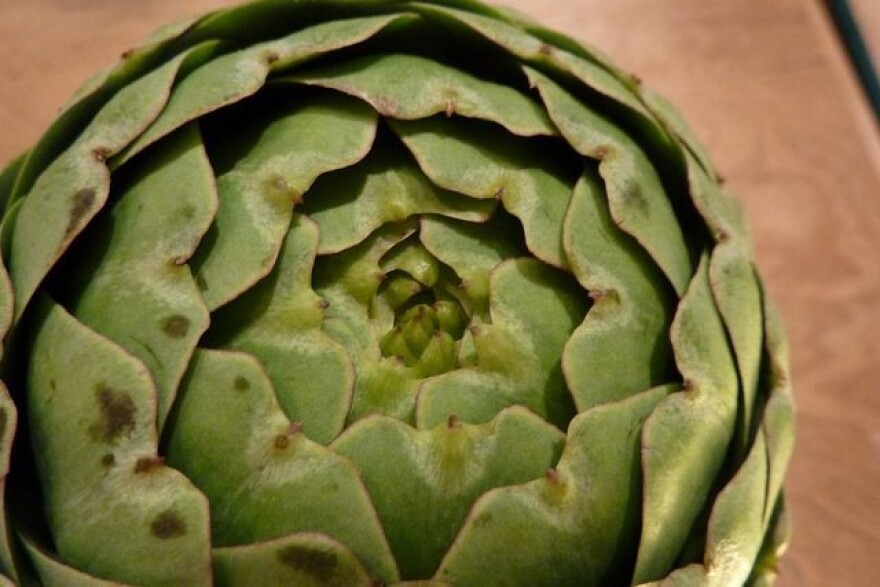 mindgardensartichoke.jpg